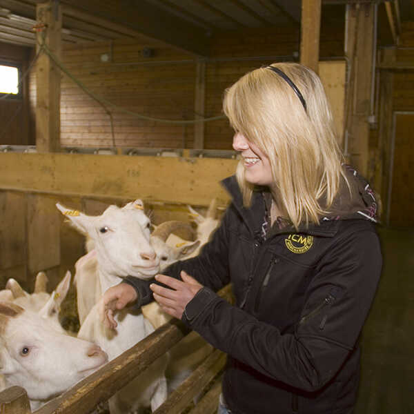 landwirtschaftlicher_facharbeiter_1