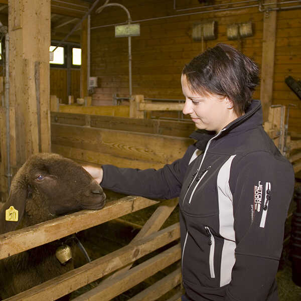 landwirtschaftlicher_facharbeiter_10