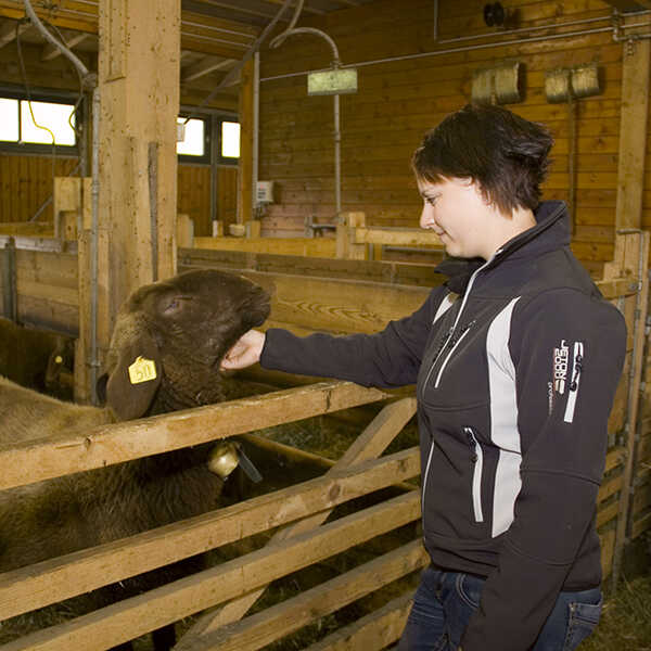 landwirtschaftlicher_facharbeiter_11