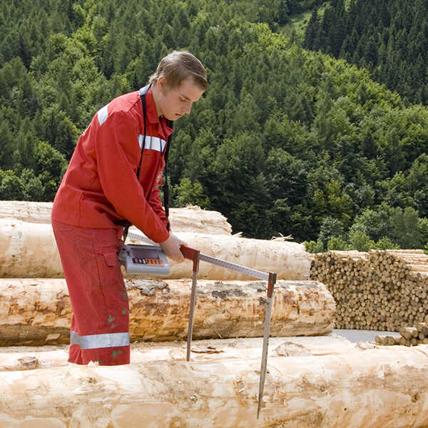 modularisierte_lehrberufe_holztechnik