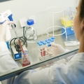 Biotechnologie_02