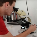Ein Brautechniker schaut durch ein Mikroskop und führt womöglich eine Analyse durch.