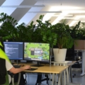 In einem modernen Büro mit vielen Pflanzen arbeitet ein Gamedesigner an einem Spiel.