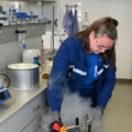 Auf dem Bild ist eine Labortechnikerin zu sehen, die mit einer kryogenen Flüssigkeit arbeitet.