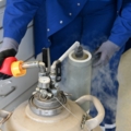 Auf dem Bild ist eine Labortechnikerin zu sehen, die mit Schutzkleidung und Handschuhen an einem kryogenen Behälter arbeitet.