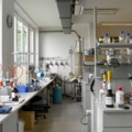 Das Bild zeigt ein chemisches Labor mit verschiedenen Geräten und Materialien, die für biochemische und chemische Analysen verwendet werden.