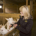 Landwirtschaft_02