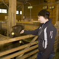 Landwirtschaft_04