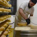 Berufe mit Lebensmitteln: Milchtechnologin / Milchtechnologe_15