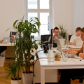 Online-Marketing-Expert(e)In_07