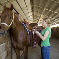 PferdewirtschaftsfacharbeiterIn_09