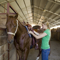 PferdewirtschaftsfacharbeiterIn_11