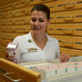 Auf dem Bild ist eine Person zu sehen, die in einer Apotheke arbeitet und Medikamente aus einer Schublade entnimmt.