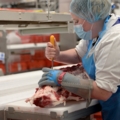 Das Bild zeigt eine Person, die in einem Fleischverarbeitungsbetrieb Fleisch bearbeitet.