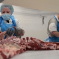 Das Bild zeigt Personen, die in einer Fleischverarbeitung arbeiten und Fleisch zuschneiden.