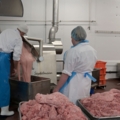 Auf dem Bild sind Personen in einer Fleischverarbeitungsanlage zu sehen, die Fleisch in einer industriellen Maschine verarbeiten.